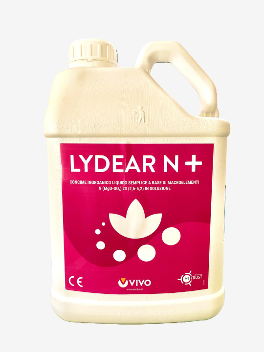 LYDEAR N +