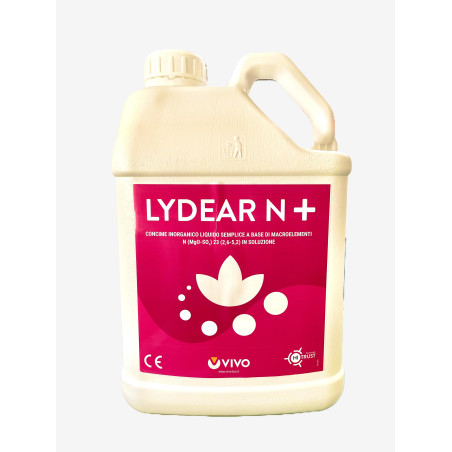 LYDEAR N +