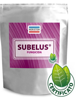 Subelus- FITOSANITARIO MICROBIOLOGICO - Bacillus subtilis