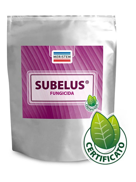 Subelus- FITOSANITARIO MICROBIOLOGICO - Bacillus subtilis