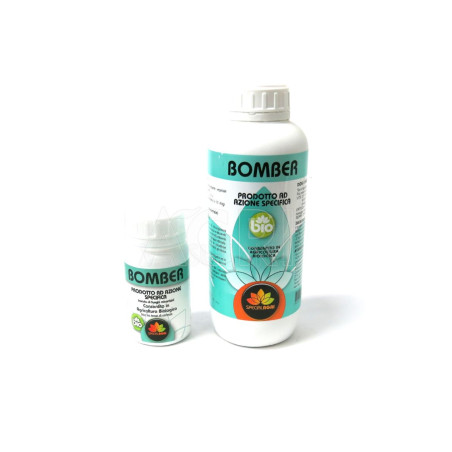 BOMBER