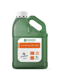 Antiscottatura dei frutti. Azione riflettente dei raggi solari