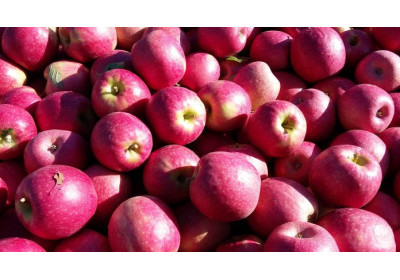 Come Eliminare i Residui Chimici nei Prodotti Agricoli: Strategie e Soluzioni per un Raccolto a Residuo Zero