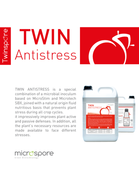 Twin Antistress!!