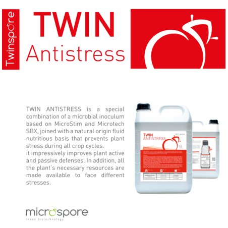 Twin Antistress!!