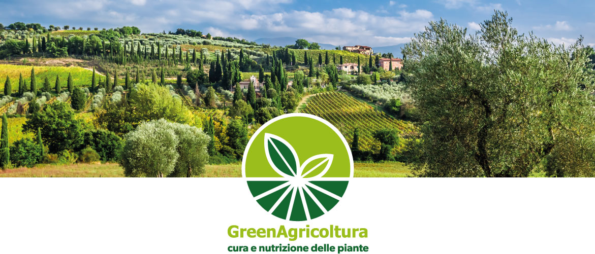 banner green chi siamo