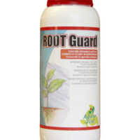 Root-Guard
