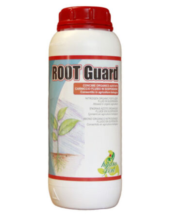 Root-Guard