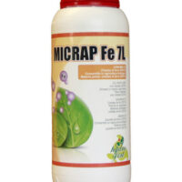 Micrap-Fe-7